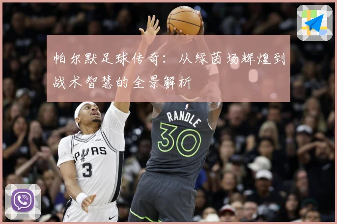 帕尔默足球传奇:从绿茵场辉煌到战术智慧的全景解析