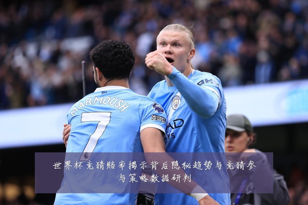 世界杯竞猜赔率揭示背后隐秘趋势与竞猜参与策略数据研判